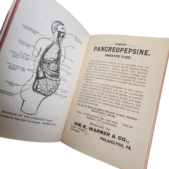ANTIQUE x WM R WARNER'S Therapeutic Reference Book small‎ hardback circa 1890 - Picture 14 of 16